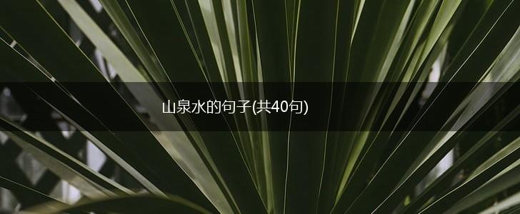 山泉水的句子(共40句),第1张