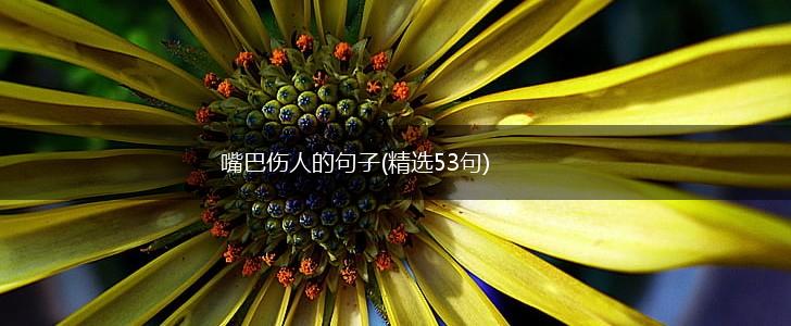 嘴巴伤人的句子(精选53句),第1张