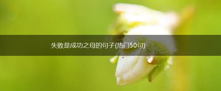 失败是成功之母的句子(热门50句),第1张