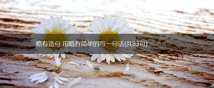略有造句 用略有简单的写一句话(共93句),第1张