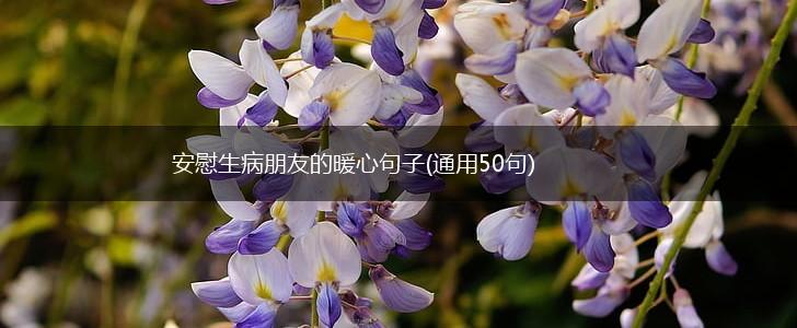 安慰生病朋友的暖心句子(通用50句),第1张