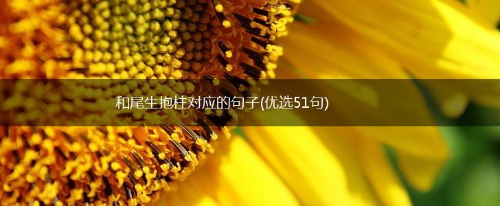 和尾生抱柱对应的句子(优选51句),第1张