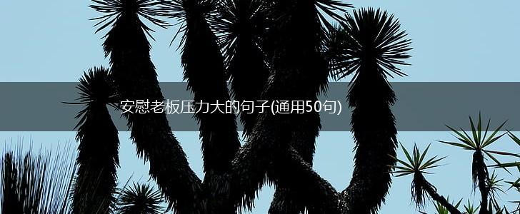安慰老板压力大的句子(通用50句),第1张