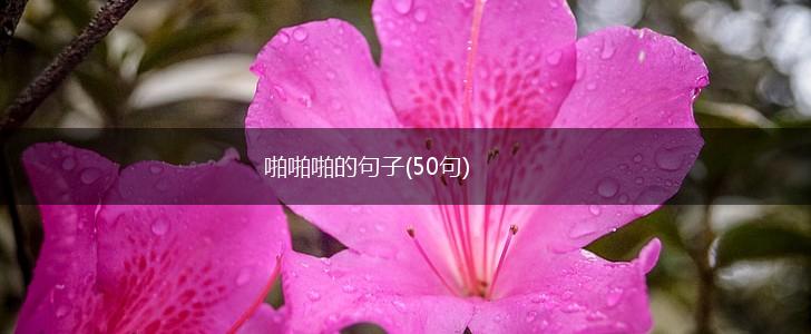 啪啪啪的句子(50句),第1张