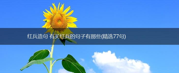 红兵造句 有关红兵的句子有那些(精选77句),第1张