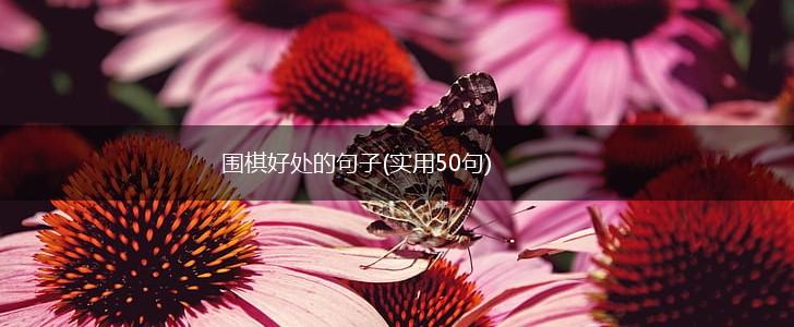 围棋好处的句子(实用50句),第1张