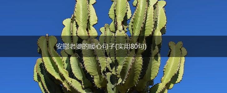 安慰老婆的暖心句子(实用80句),第1张