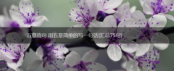 五章造句 用五章简单的写一句话(汇总75句),第1张