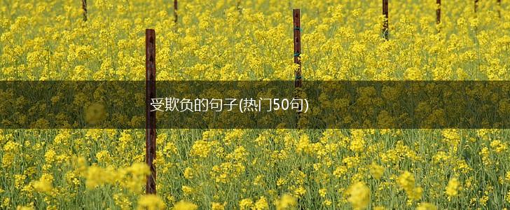 受欺负的句子(热门50句),第1张