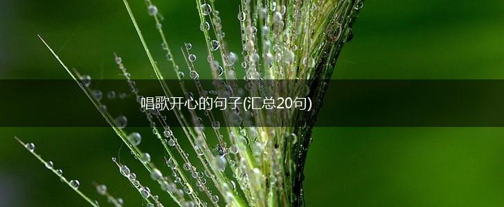 唱歌开心的句子(汇总20句),第1张