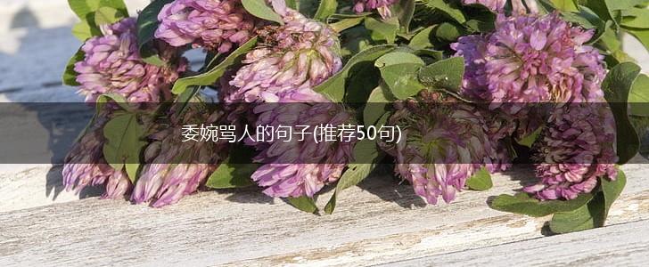 委婉骂人的句子(推荐50句),第1张