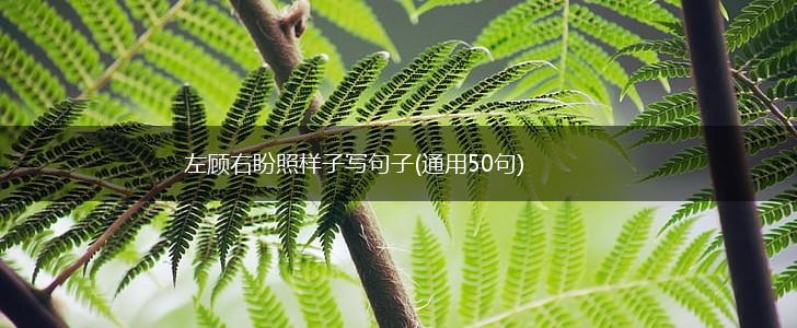左顾右盼照样子写句子(通用50句),第1张