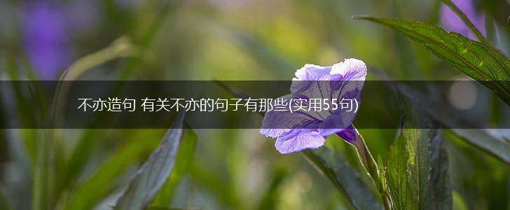 不亦造句 有关不亦的句子有那些(实用55句),第1张