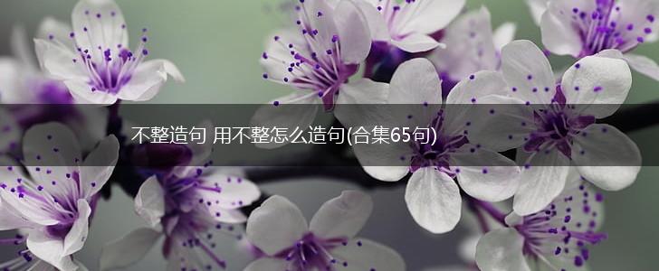 不整造句 用不整怎么造句(合集65句),第1张