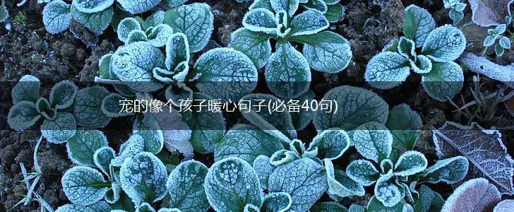宠的像个孩子暖心句子(必备40句),第1张