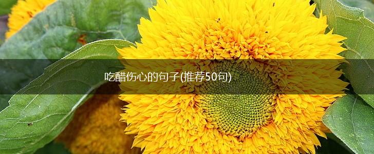 吃醋伤心的句子(推荐50句),第1张