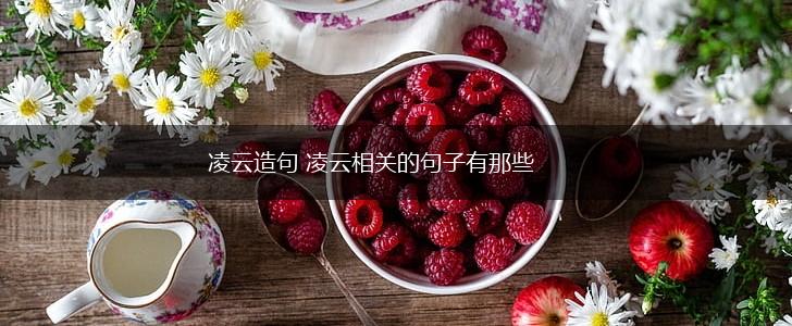 凌云造句 凌云相关的句子有那些,第1张