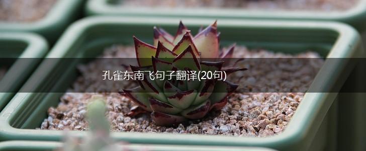 孔雀东南飞句子翻译(20句),第1张