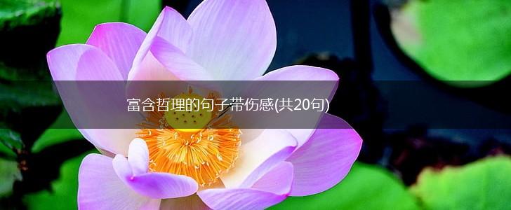 富含哲理的句子带伤感(共20句),第1张