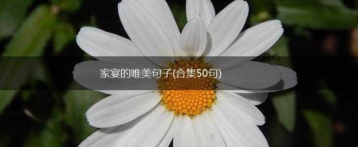 家宴的唯美句子(合集50句),第1张