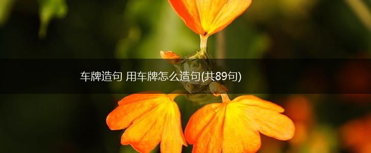 车牌造句 用车牌怎么造句(共89句),第1张