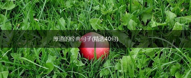 厚道的经典句子(精选40句),第1张