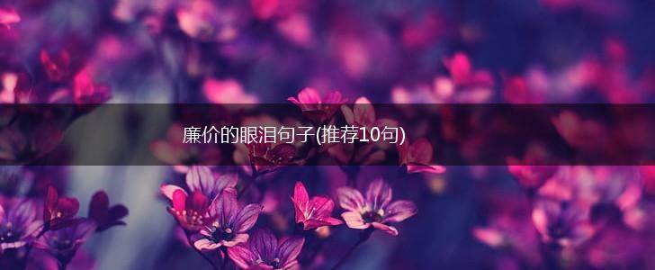廉价的眼泪句子(推荐10句),第1张