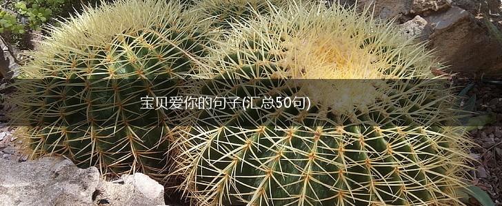 宝贝爱你的句子(汇总50句),第1张