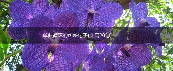 单曲循环的伤感句子(实用20句),第1张