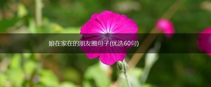娘在家在的朋友圈句子(优选60句),第1张