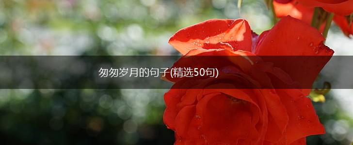 匆匆岁月的句子(精选50句),第1张