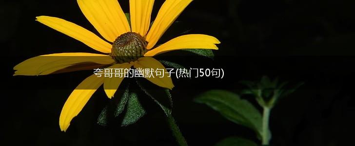夸哥哥的幽默句子(热门50句),第1张