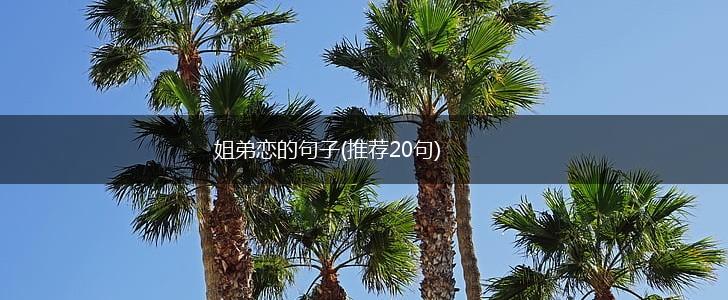 姐弟恋的句子(推荐20句),第1张