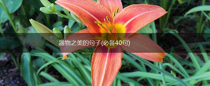 器物之美的句子(必备40句),第1张