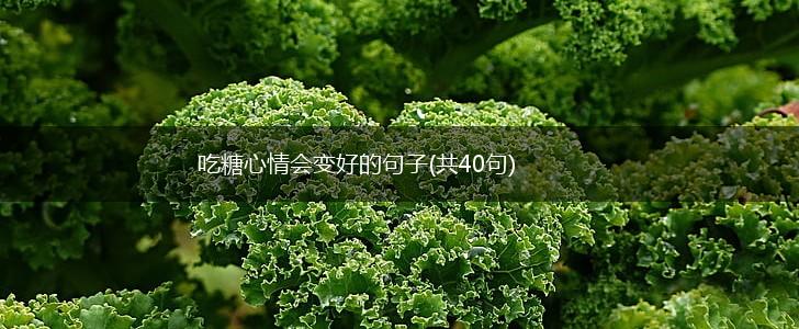 吃糖心情会变好的句子(共40句),第1张