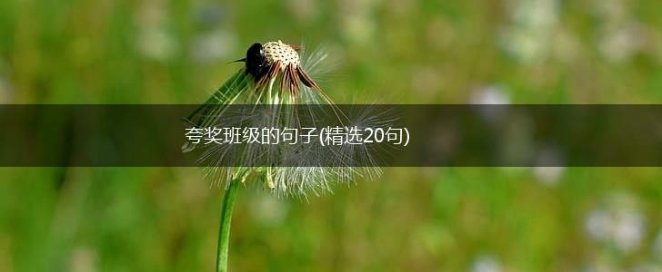 夸奖班级的句子(精选20句),第1张