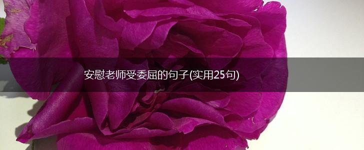 安慰老师受委屈的句子(实用25句),第1张