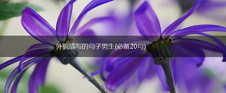 外貌描写的句子男生(必备20句),第1张