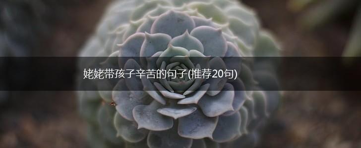 姥姥带孩子辛苦的句子(推荐20句),第1张