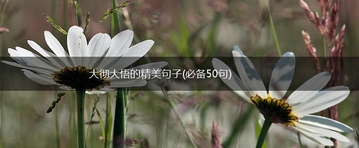大彻大悟的精美句子(必备50句),第1张