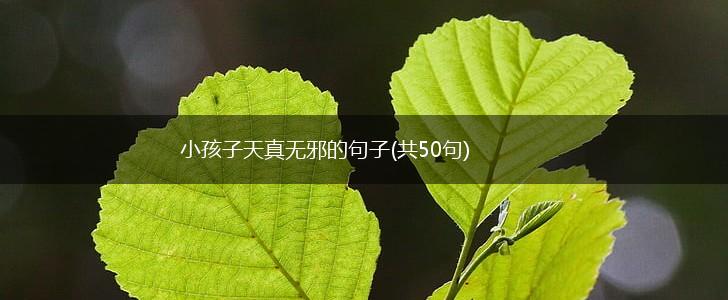 小孩子天真无邪的句子(共50句),第1张