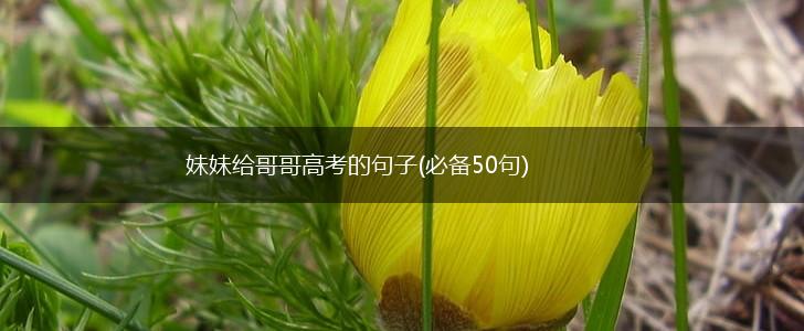 妹妹给哥哥高考的句子(必备50句),第1张