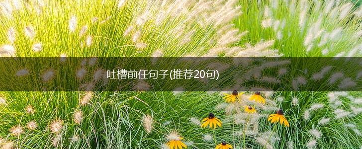 吐槽前任句子(推荐20句),第1张
