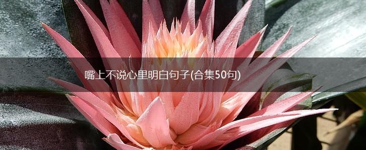 嘴上不说心里明白句子(合集50句),第1张
