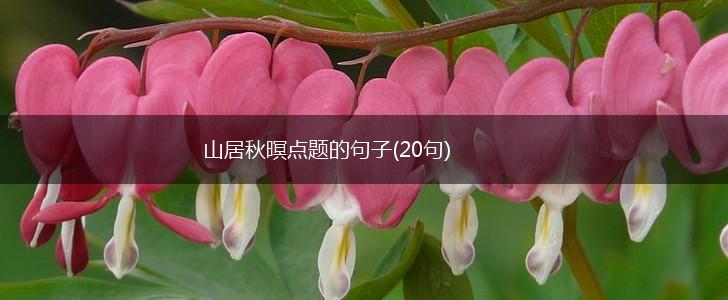 山居秋暝点题的句子(20句),第1张