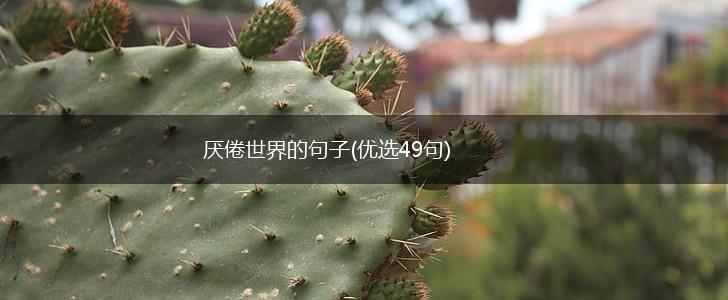 厌倦世界的句子(优选49句),第1张