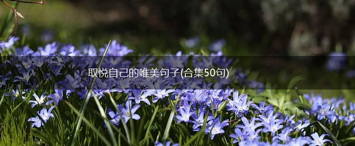 取悦自己的唯美句子(合集50句),第1张