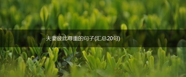 夫妻彼此尊重的句子(汇总20句),第1张