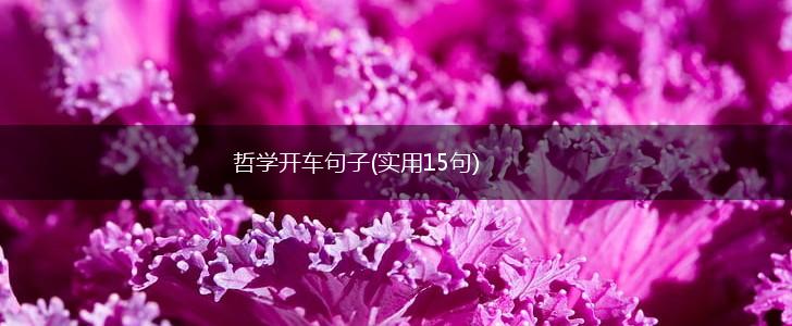 哲学开车句子(实用15句),第1张