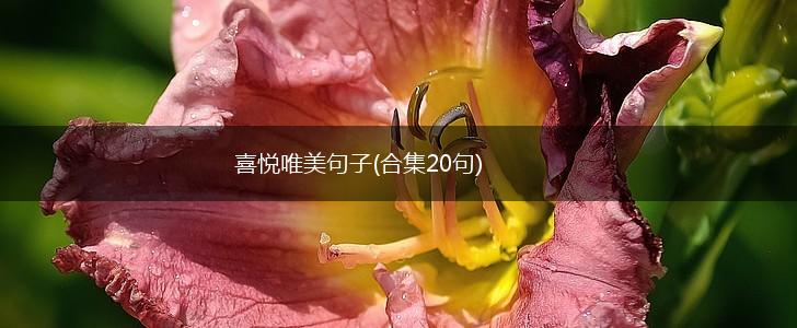 喜悦唯美句子(合集20句),第1张
